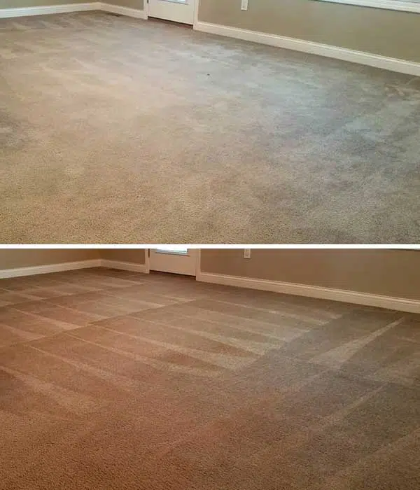 Residential & Commercial Carpet Cleaning 